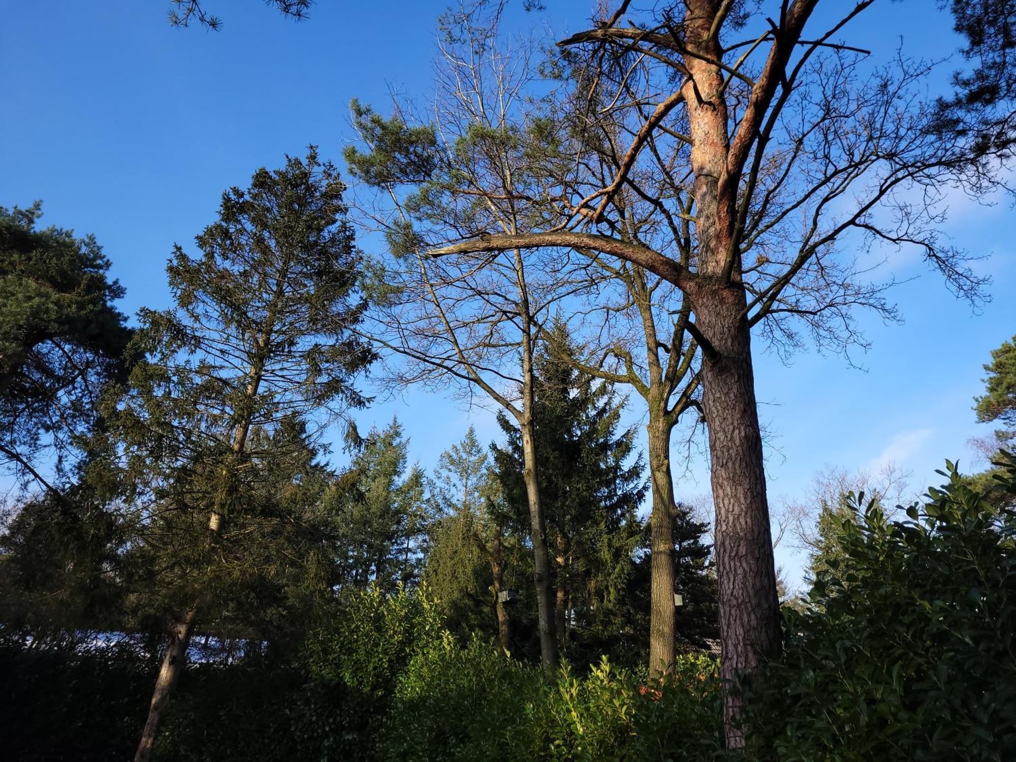 Secret Wellness Droombos Holten Exterior photo